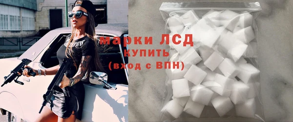 стаф Алзамай