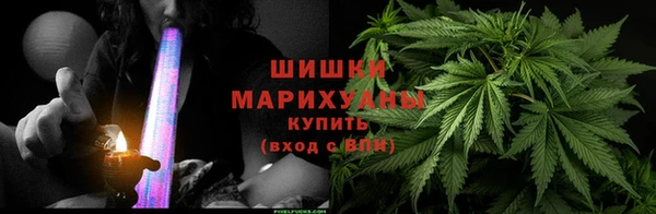 шишки Алексеевка