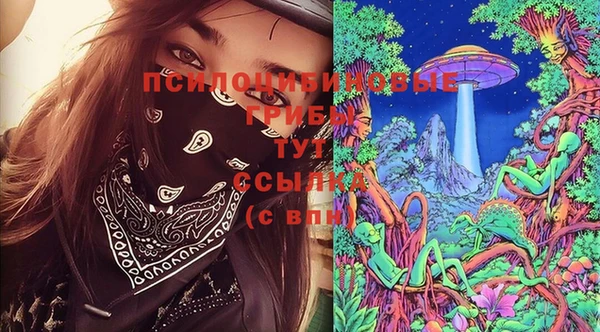 шишки Алексеевка