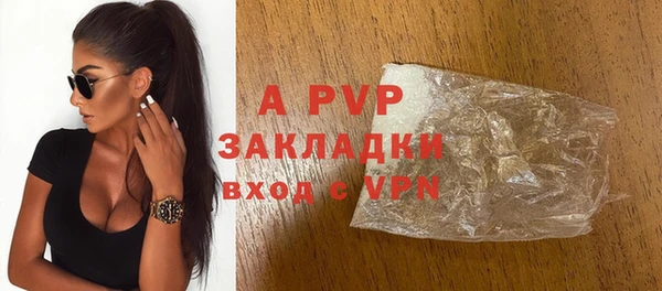 стаф Алзамай