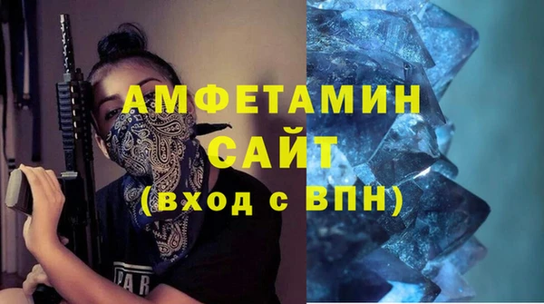 стаф Алзамай