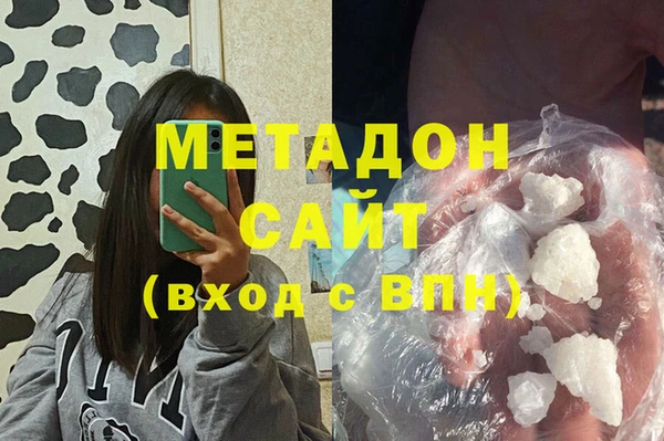 стаф Алзамай
