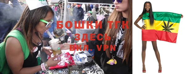 Альфа ПВП Алексин