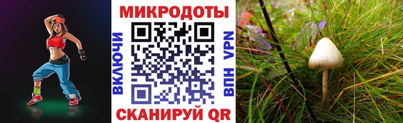 Купить закладки  Белгород  Галлюциногенные грибы Magic Shrooms 