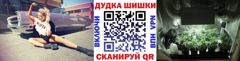 Канабис SATIVA & INDICA  Купить закладки  Белгород 